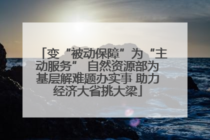 变“被动保障”为“主动服务” 自然资源部为基层解难题办实事 助力经济大省挑大梁