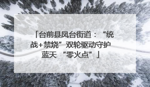 台前县凤台街道：“统战+禁烧”双轮驱动守护蓝天 “零火点”