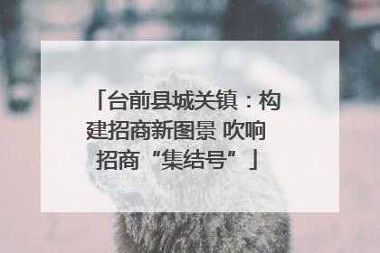 台前县城关镇：构建招商新图景 吹响招商“集结号”
