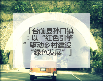 台前县孙口镇：以“红色引擎”驱动乡村建设“绿色发展”