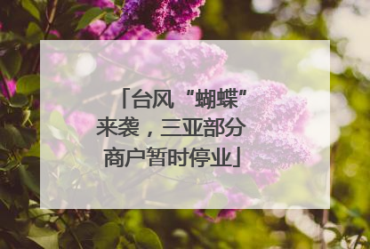 台风“蝴蝶”来袭，三亚部分商户暂时停业