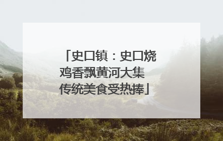 史口镇：史口烧鸡香飘黄河大集 传统美食受热捧