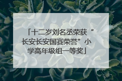 十二岁刘名丞荣获“长安长安国赛荣誉”小学高年级组一等奖