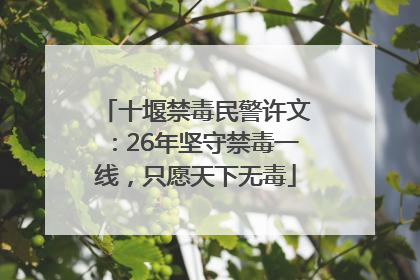 十堰禁毒民警许文：26年坚守禁毒一线，只愿天下无毒