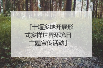 十堰多地开展形式多样世界环境日主题宣传活动