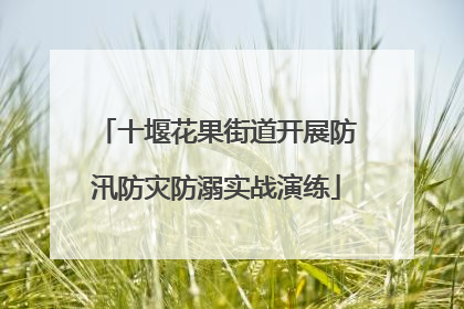 十堰花果街道开展防汛防灾防溺实战演练