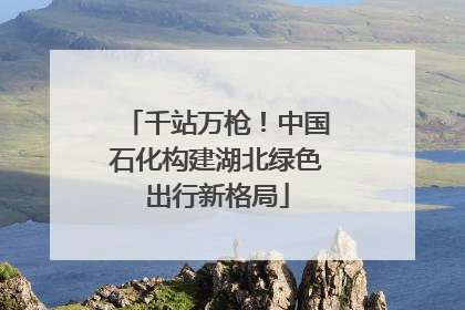 千站万枪！中国石化构建湖北绿色出行新格局