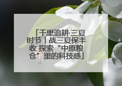 千里追耕·三夏时节丨战三夏保丰收 探索“中原粮仓”里的科技感