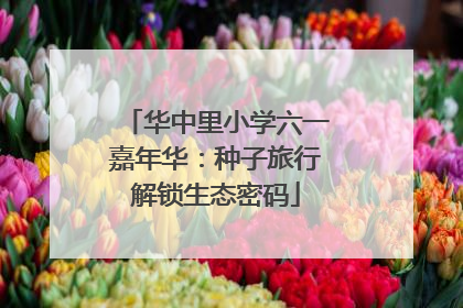 华中里小学六一嘉年华：种子旅行解锁生态密码