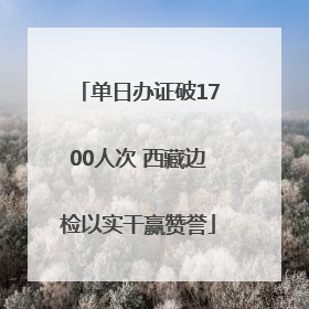 单日办证破1700人次 西藏边检以实干赢赞誉
