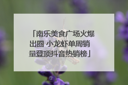 南乐美食广场火爆出圈 小龙虾单周销量登顶抖音热销榜