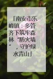 南安市乐峰镇：多管齐下筑牢森林“防火墙”，守护绿水青山