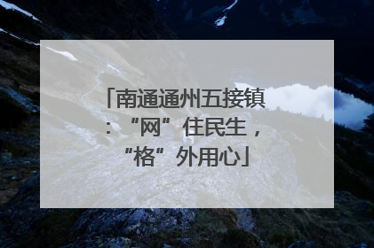 南通通州五接镇：“网”住民生，“格”外用心