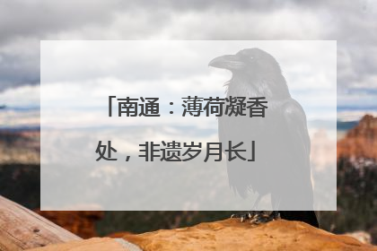 南通：薄荷凝香处，非遗岁月长