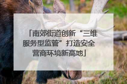 南郊街道创新“三维服务型监管”打造安全营商环境新高地