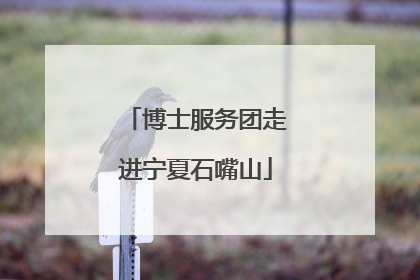博士服务团走进宁夏石嘴山