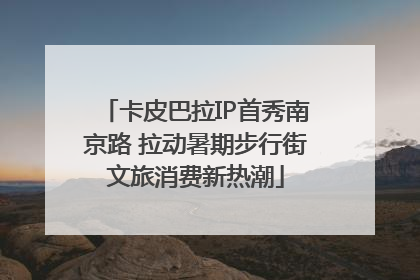 卡皮巴拉IP首秀南京路 拉动暑期步行街文旅消费新热潮