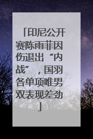 印尼公开赛陈雨菲因伤退出“内战”，国羽各单项唯男双表现差劲