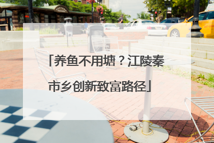 养鱼不用塘？江陵秦市乡创新致富路径