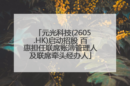 元光科技(2605.HK)启动招股 百惠担任联席账簿管理人及联席牵头经办人