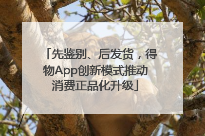 先鉴别、后发货，得物App创新模式推动消费正品化升级