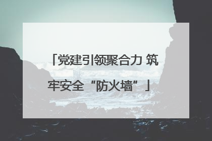 党建引领聚合力 筑牢安全“防火墙”
