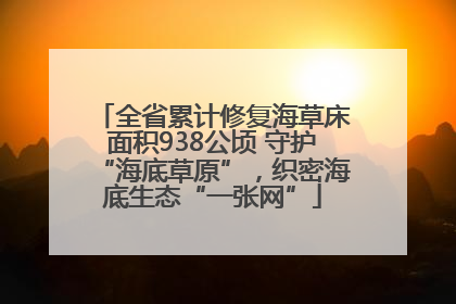 全省累计修复海草床面积938公顷 守护“海底草原”，织密海底生态“一张网”