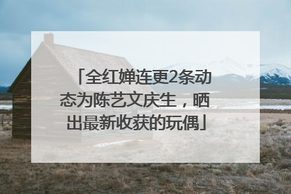 全红婵连更2条动态为陈艺文庆生，晒出最新收获的玩偶
