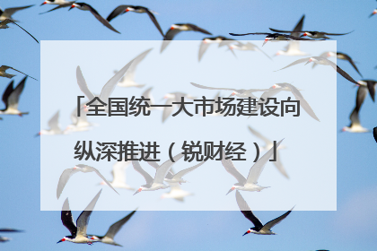 全国统一大市场建设向纵深推进（锐财经）