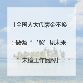 全国人大代表金不换：做强“‘豫’见未来”未检工作品牌
