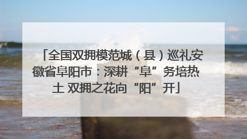 全国双拥模范城（县）巡礼安徽省阜阳市：深耕“阜”务培热土 双拥之花向“阳”开