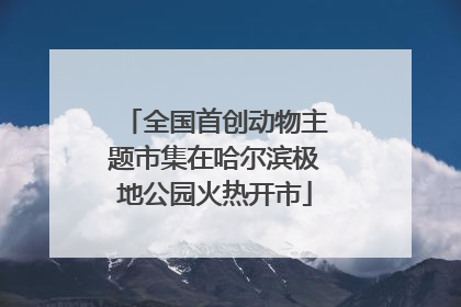 全国首创动物主题市集在哈尔滨极地公园火热开市