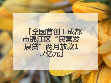 全国首创！成都市锦江区“民营发展贷”两月放款1.7亿元