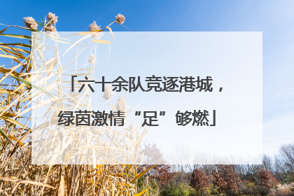 六十余队竞逐港城，绿茵激情“足”够燃