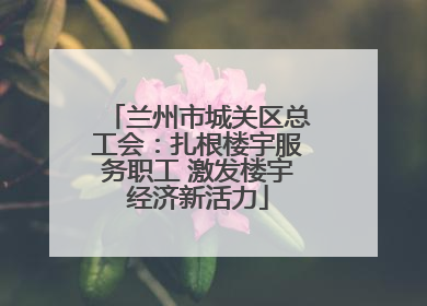 兰州市城关区总工会：扎根楼宇服务职工 激发楼宇经济新活力