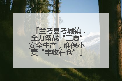 兰考县考城镇：全力备战“三夏”安全生产，确保小麦“丰收在仓”