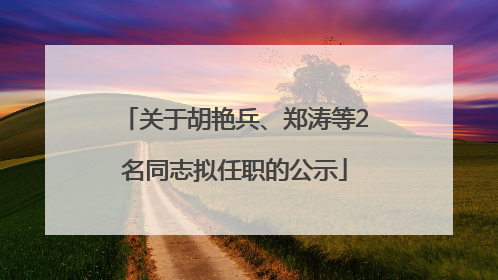 关于胡艳兵、郑涛等2名同志拟任职的公示