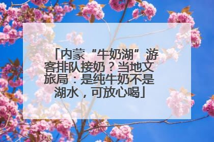 内蒙“牛奶湖”游客排队接奶？当地文旅局：是纯牛奶不是湖水，可放心喝