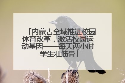 内蒙古全域推进校园体育改革，激活校园运动基因——每天两小时 学生壮筋骨