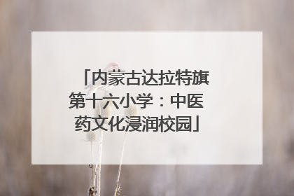 内蒙古达拉特旗第十六小学：中医药文化浸润校园