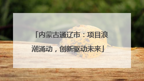 内蒙古通辽市：项目浪潮涌动，创新驱动未来