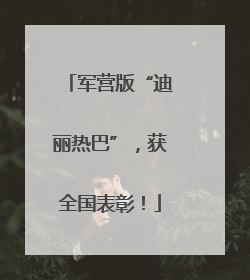 军营版“迪丽热巴”，获全国表彰！