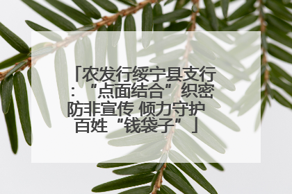 农发行绥宁县支行：“点面结合”织密防非宣传 倾力守护百姓“钱袋子”