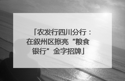 农发行四川分行：在叙州区擦亮“粮食银行”金字招牌