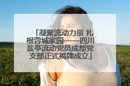 凝聚流动力量 扎根蓉城家园——四川盐亭流动党员成都党支部正式揭牌成立