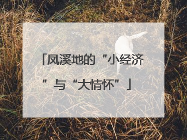 凤溪地的“小经济”与“大情怀”