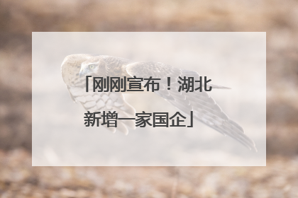刚刚宣布！湖北新增一家国企