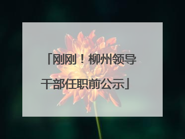 刚刚！柳州领导干部任职前公示