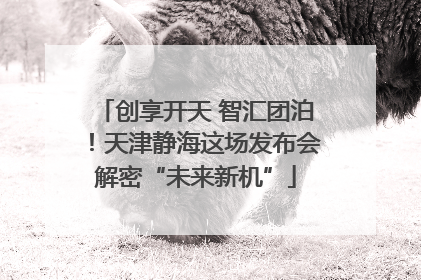 创享开天 智汇团泊！天津静海这场发布会解密“未来新机”