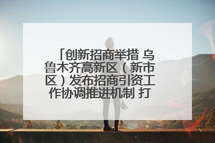 创新招商举措 乌鲁木齐高新区（新市区）发布招商引资工作协调推进机制 打造投资发展新高地